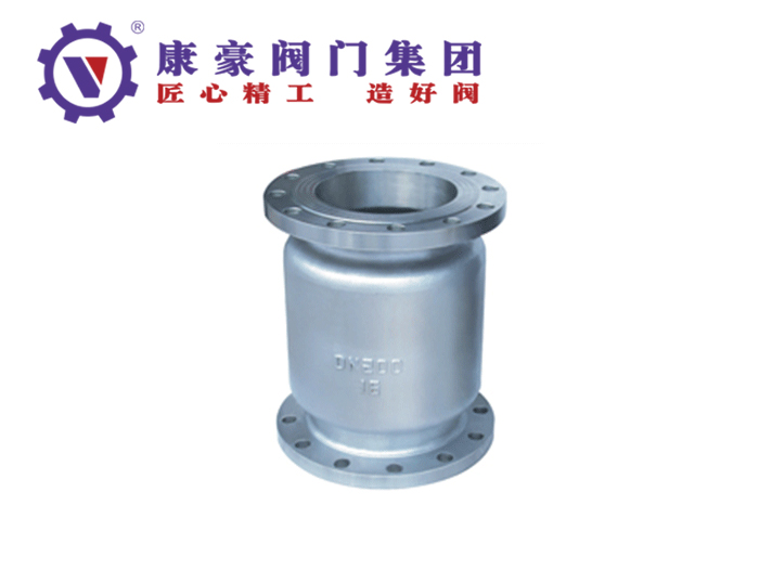 不銹鋼立式止回閥